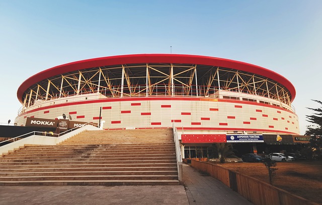 析老鹰队的 析老鹰队的