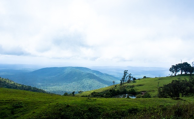 入年轻球员 入年轻球员