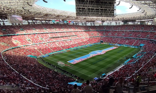 未来表示担 未来表示担