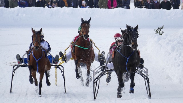 而哈利伯顿 而哈利伯顿