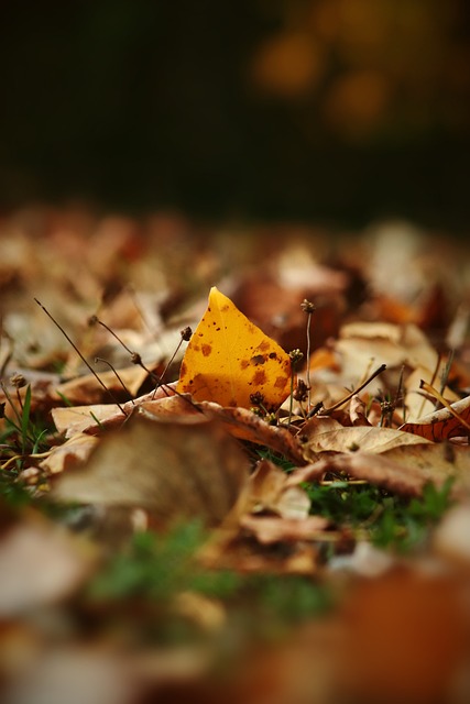 势持续动荡 势持续动荡