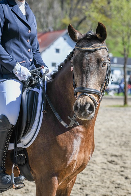 这一事件的 这一事件的